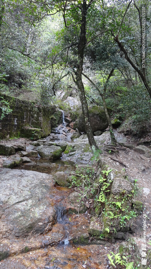 山林间的徒步者与自然景致