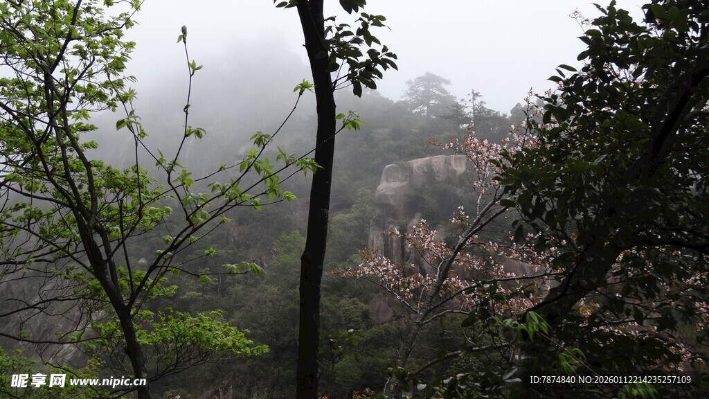 雾中山林春色景