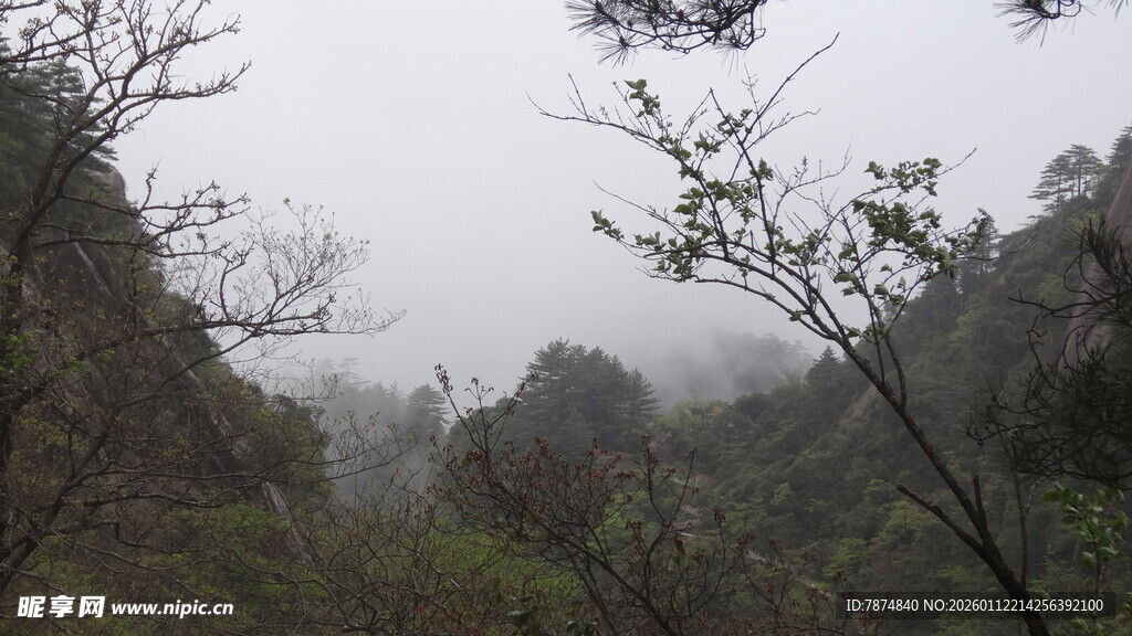 山间雾景 朦胧自然之美
