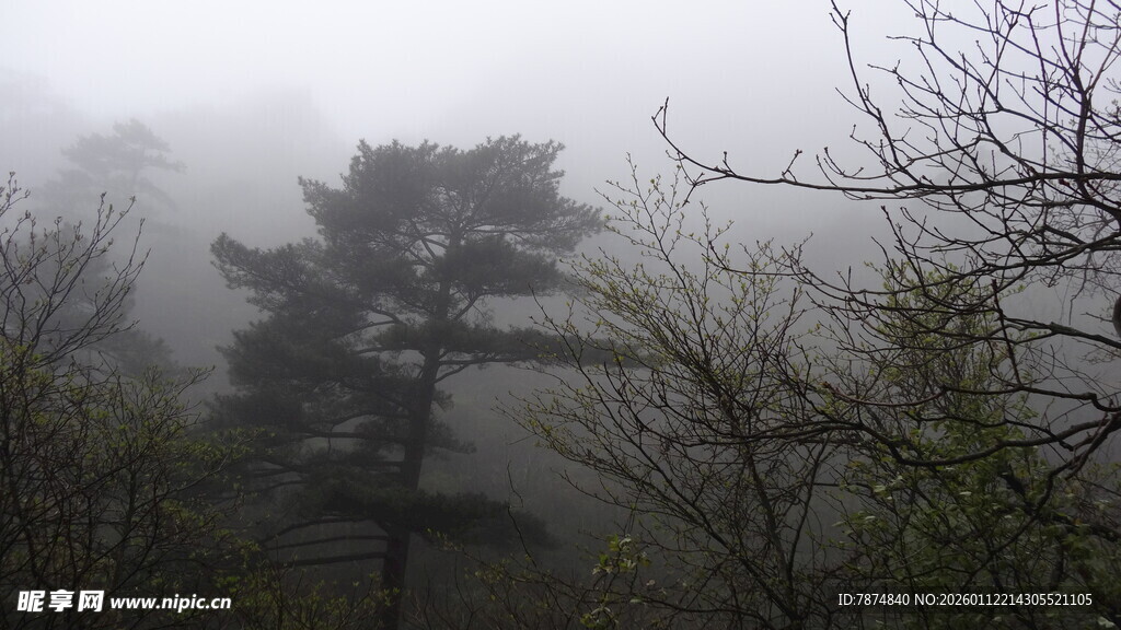雾中山林风景图