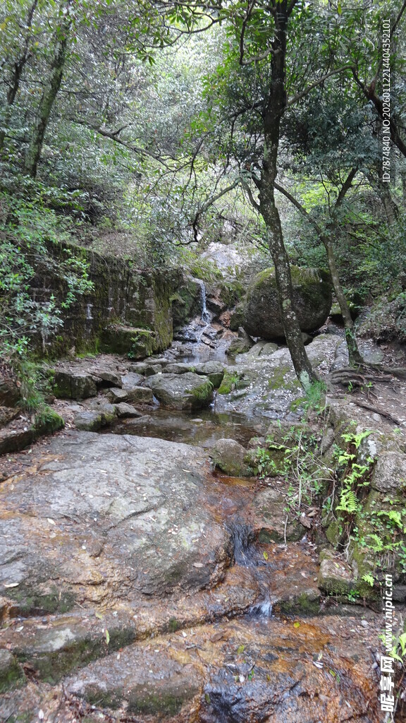 山林间的潺潺溪流