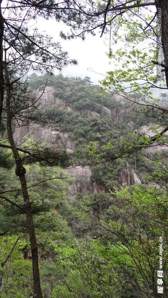 山林绿意盎然的自然景致