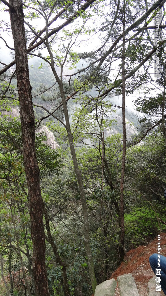 山林中一人徒步的身影