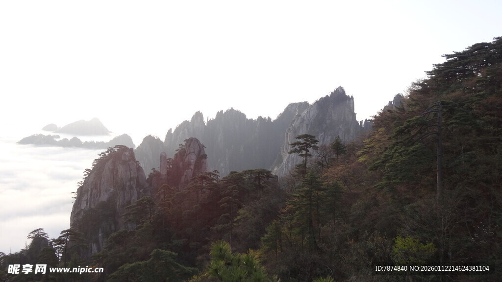 壮丽山峦云海景观