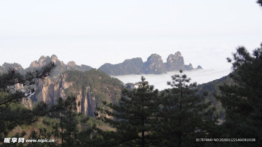 壮丽山景 林木葱郁