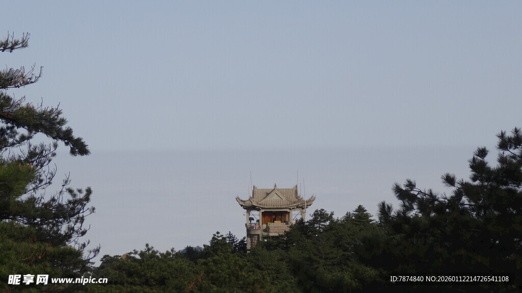 林间远望的古老建筑