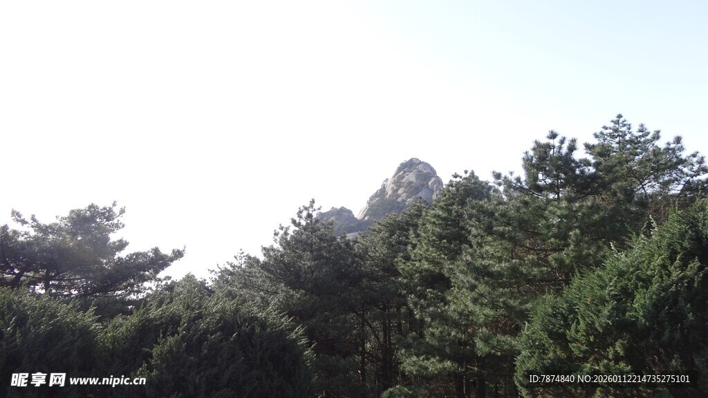 山林绿树风景图