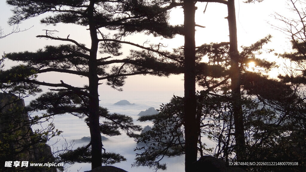 夕阳下的山林雪景