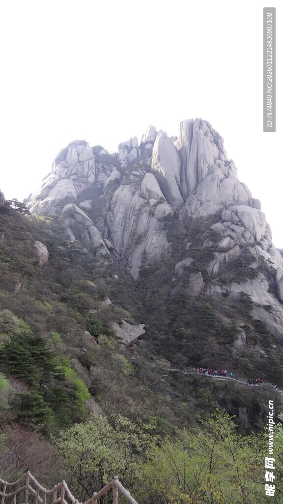 巍峨山峰与葱郁植被景观