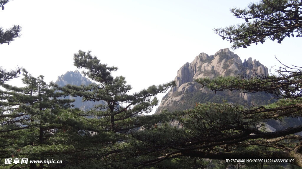 黄山松与峻峭山峰景色