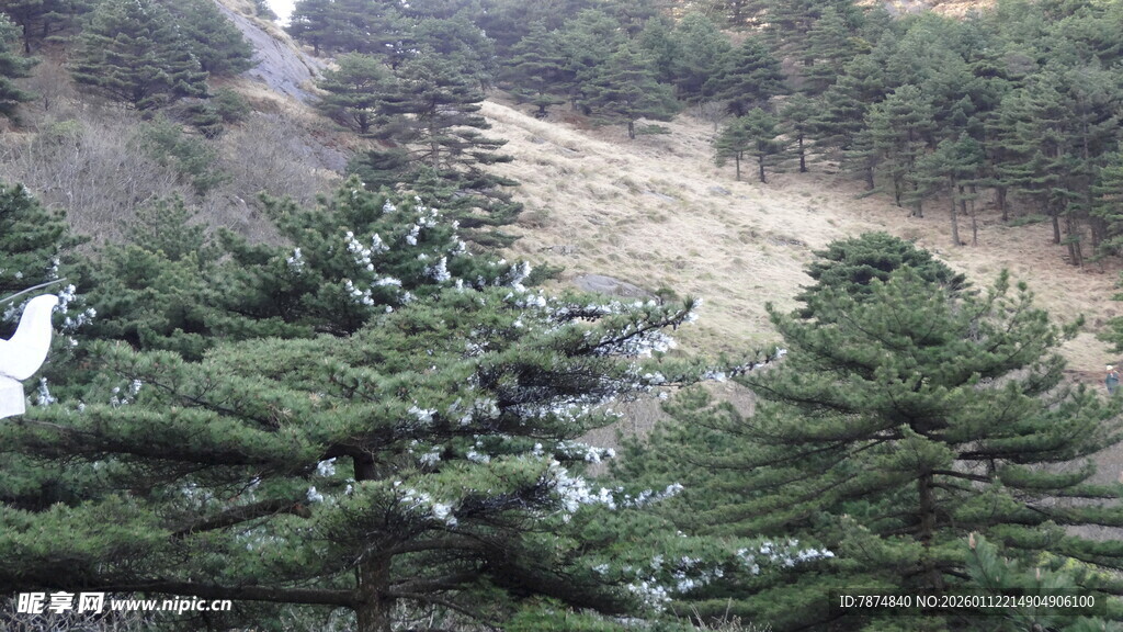 山林间蜿蜒小路