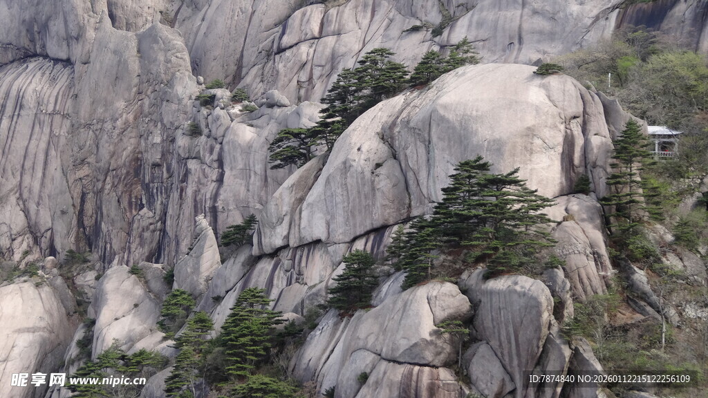 嶙峋山石间的翠绿生机