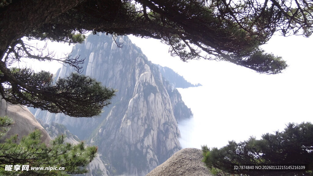 透过松枝望巍峨山峰