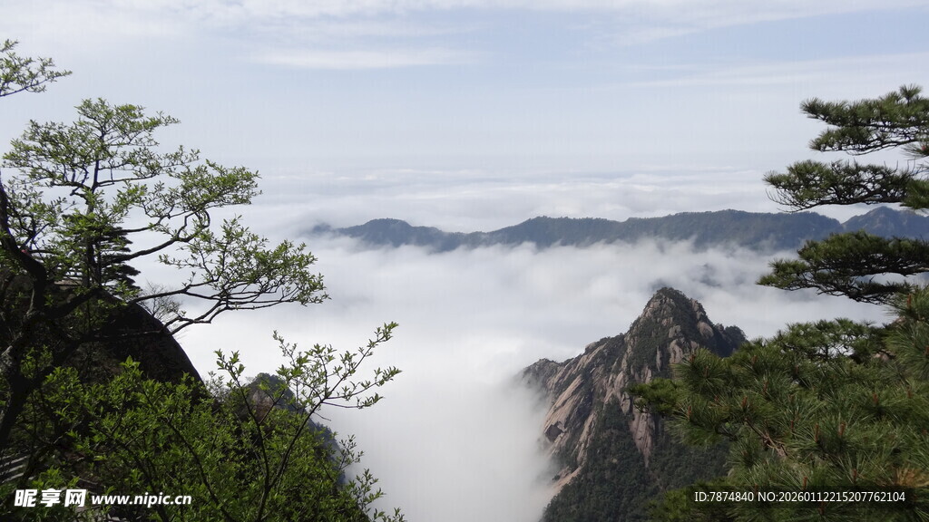 黄山云海景观壮美如画