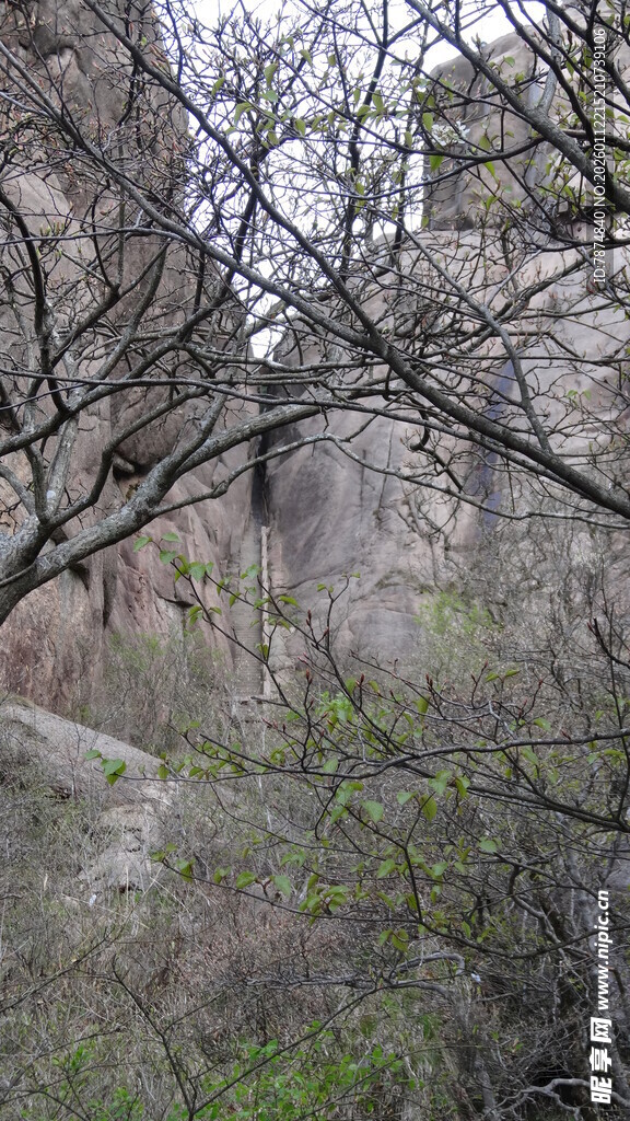 山间岩石旁的稀疏植被