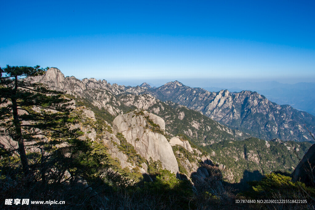 壮丽山景 挺拔青松傲立