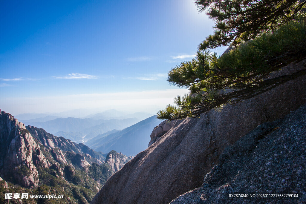峻岭青松间的壮阔山景