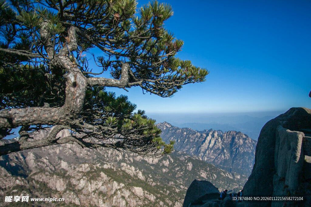 黄山奇松傲立壮美山峦