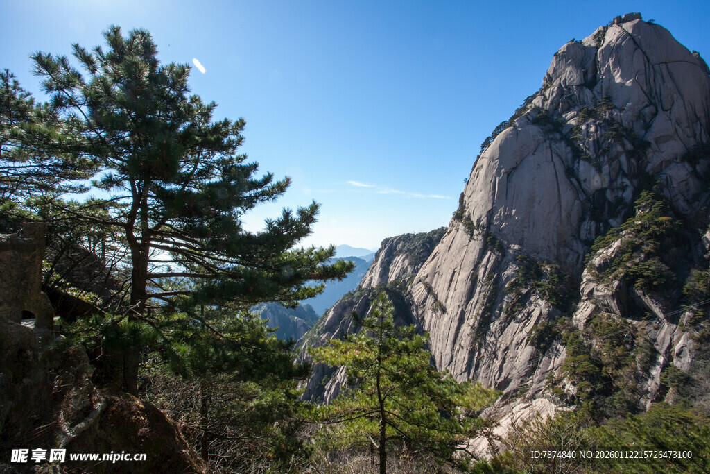 巍峨山峰与葱郁树木