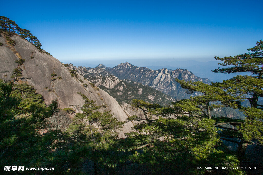 壮丽山景 青松相伴