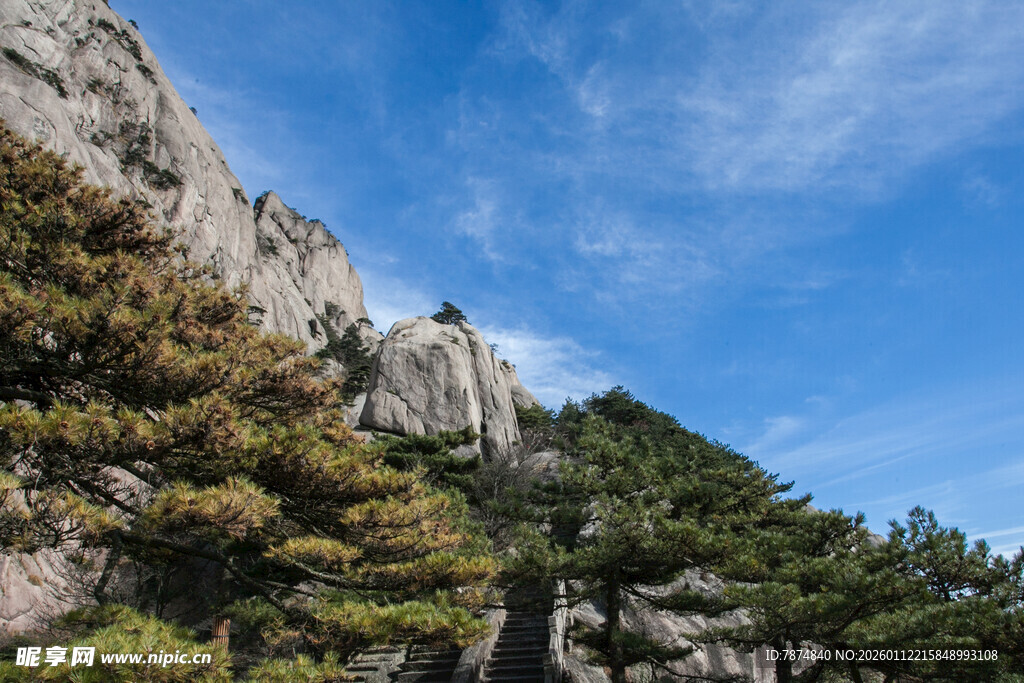 巍峨山峰与葱郁树木