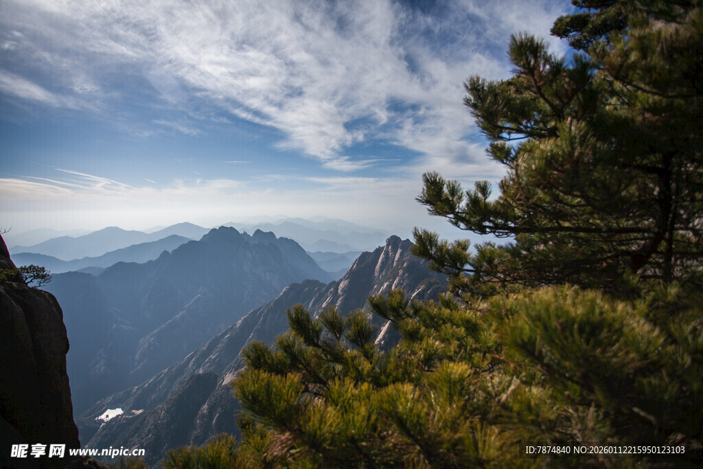 山巅松景 远眺壮阔山峦