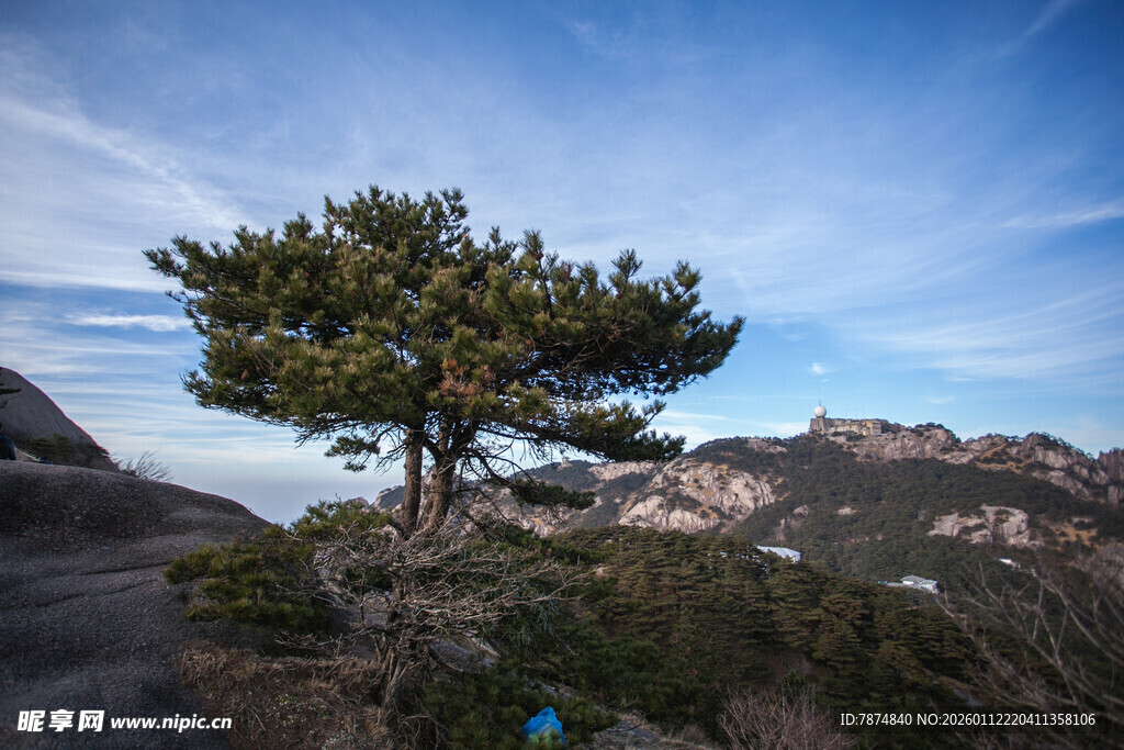 山顶孤松 览壮丽山川