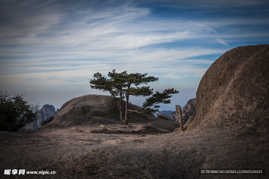 山间孤松伴巨石美景