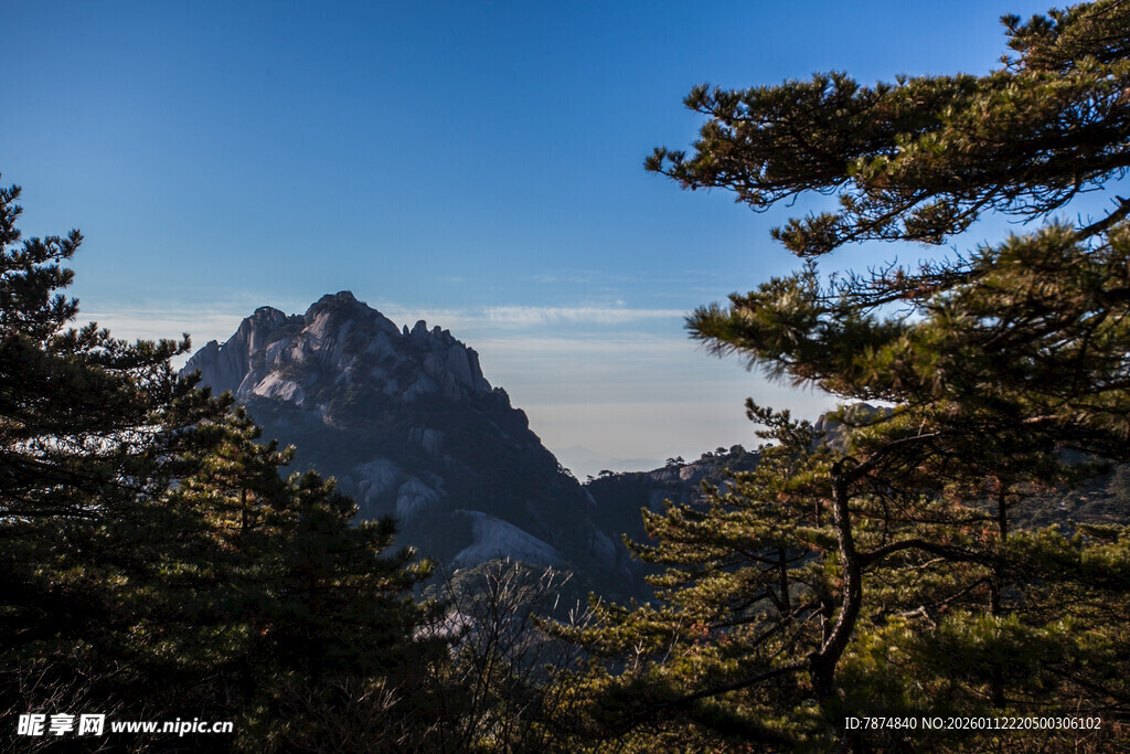 山间松林与壮丽山峰景色