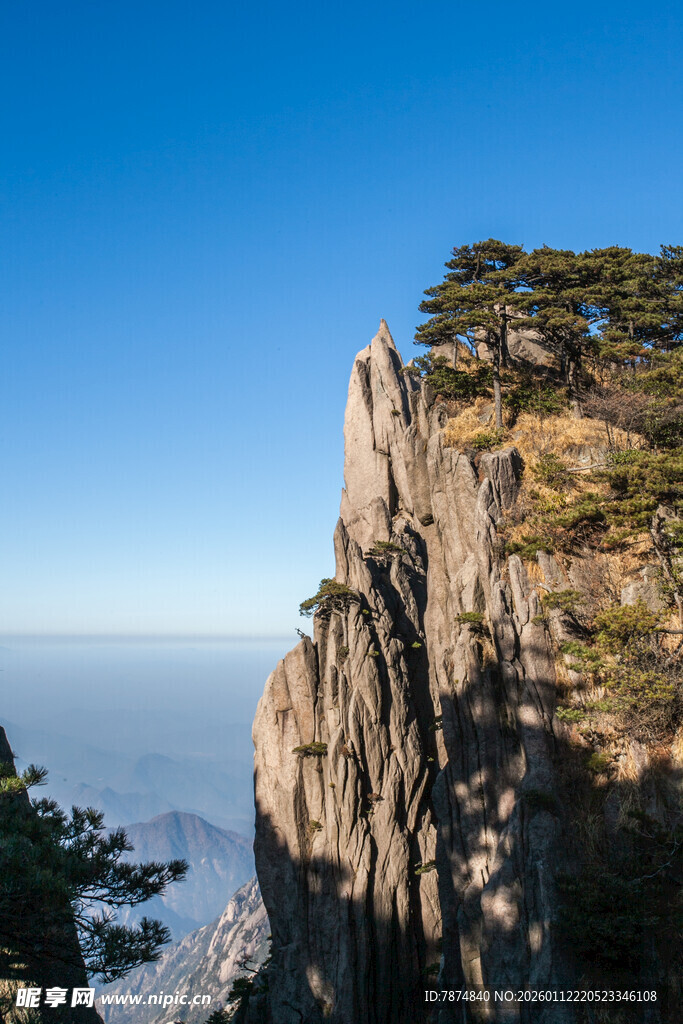 悬崖峭壁上的挺拔松树