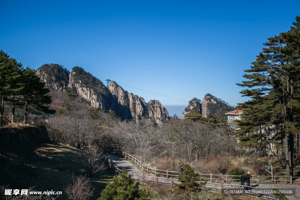 壮丽山景与葱郁树木景观