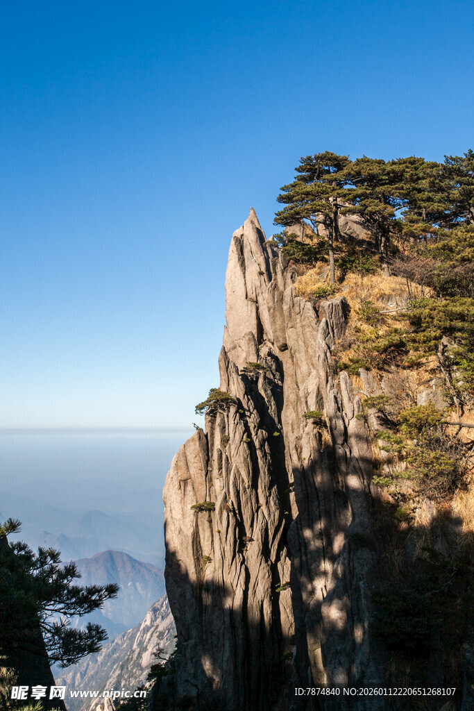 黄山奇峰上的挺拔松树