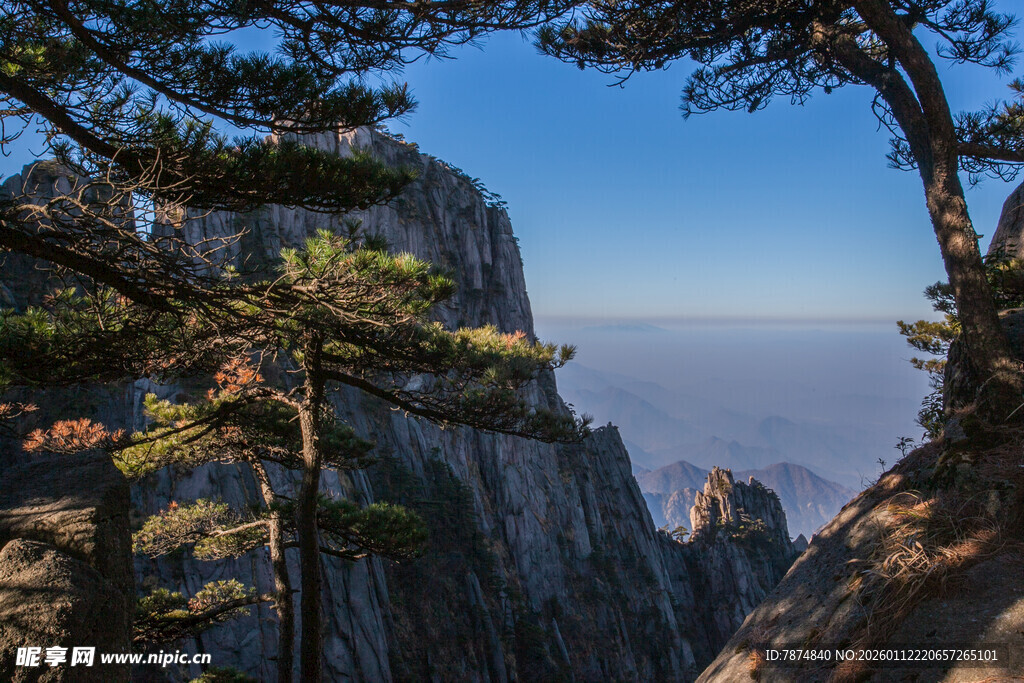 黄山壮丽山景与奇松