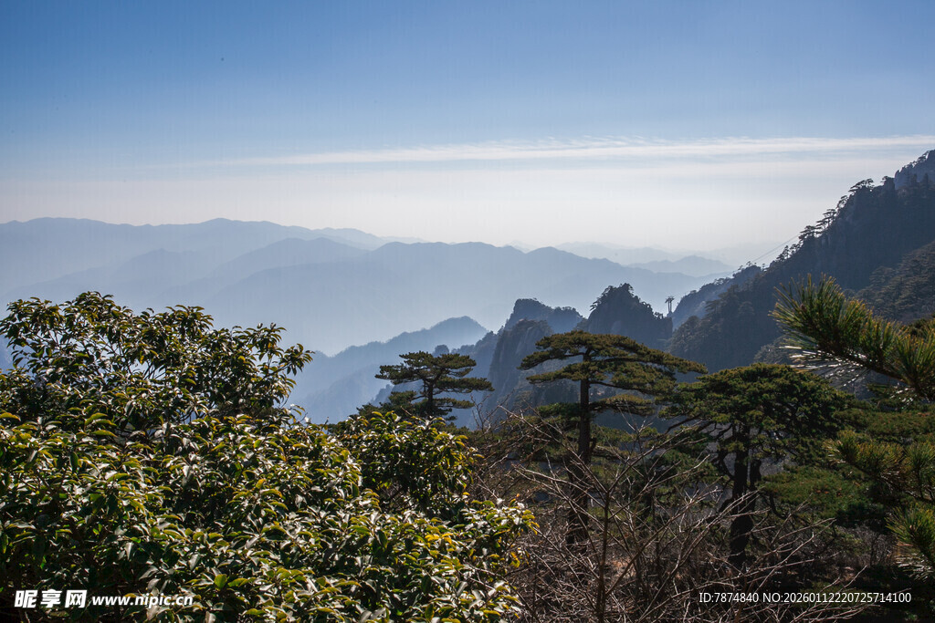 山间葱郁林木与远处山峦