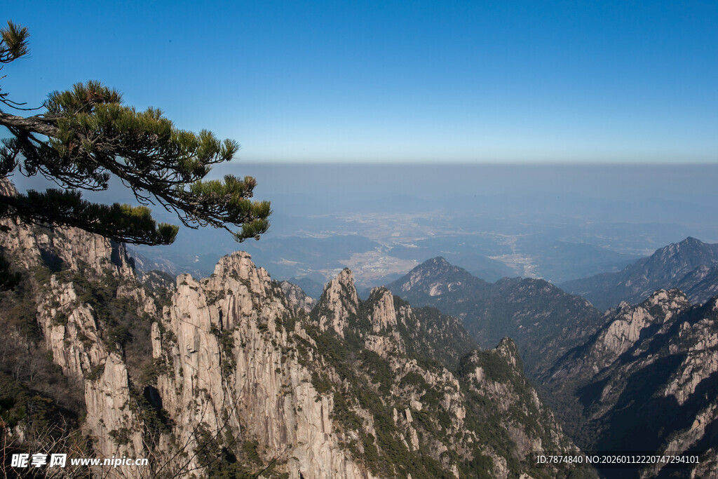 黄山奇峰上的孤傲松树