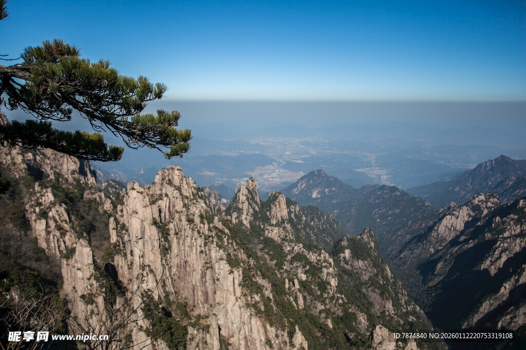 黄山奇峰上的孤松景观