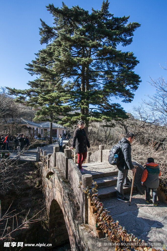 石桥旁的游人与挺拔松树
