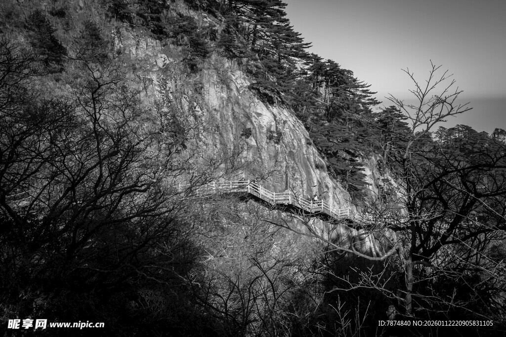 黑白山峦间的草木景致
