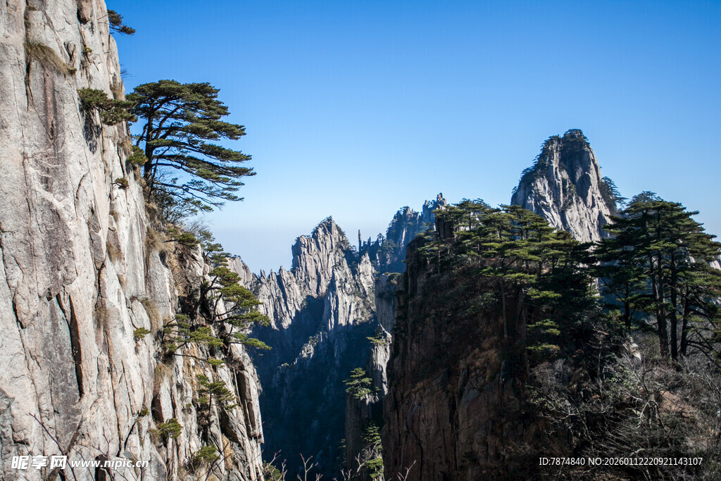 巍峨黄山奇峰与苍松景观