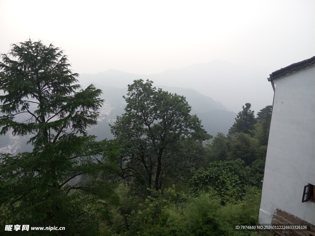 山间白屋旁的葱郁景致
