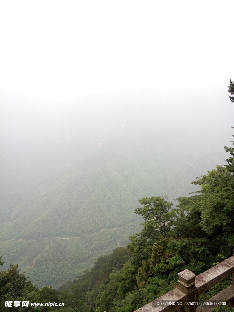 山间雾景 绿意盎然