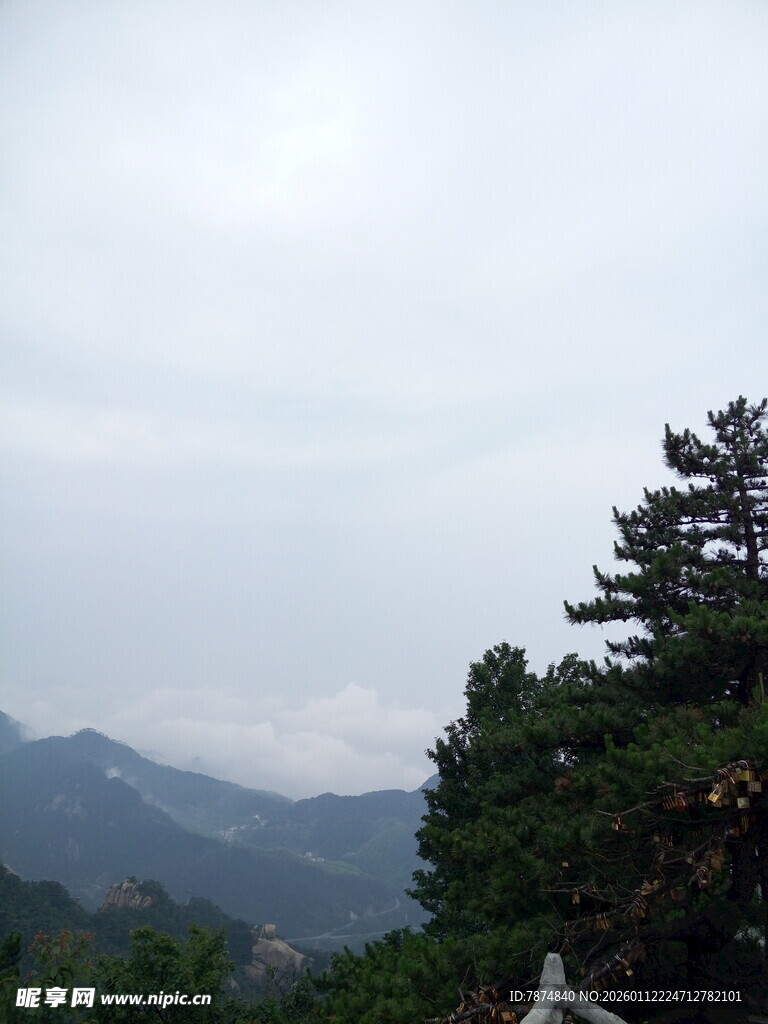 山间松景 云雾缭绕之美