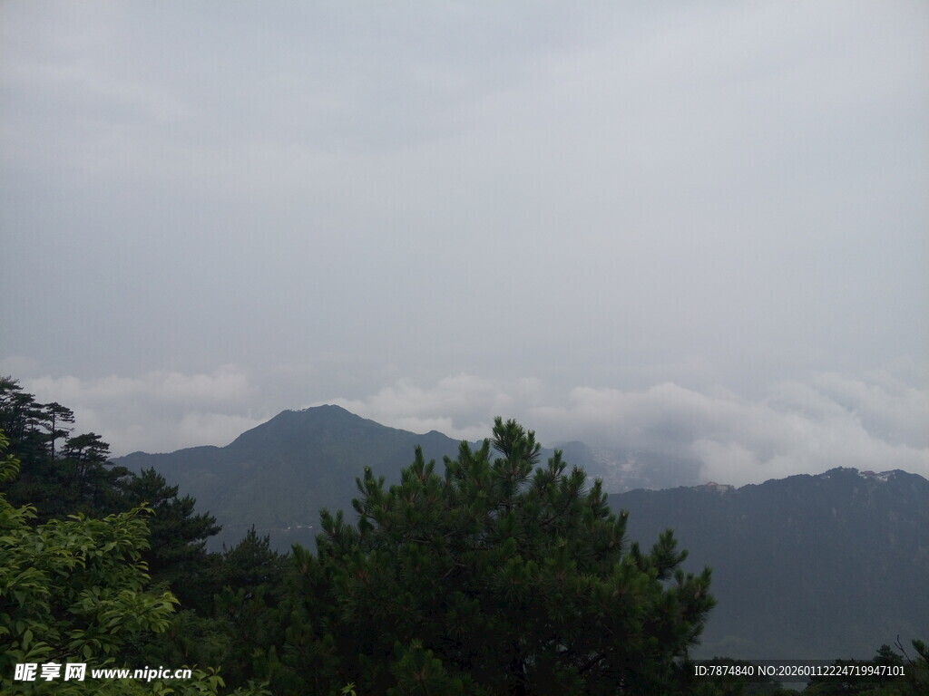 山间云雾缭绕的绿意景致