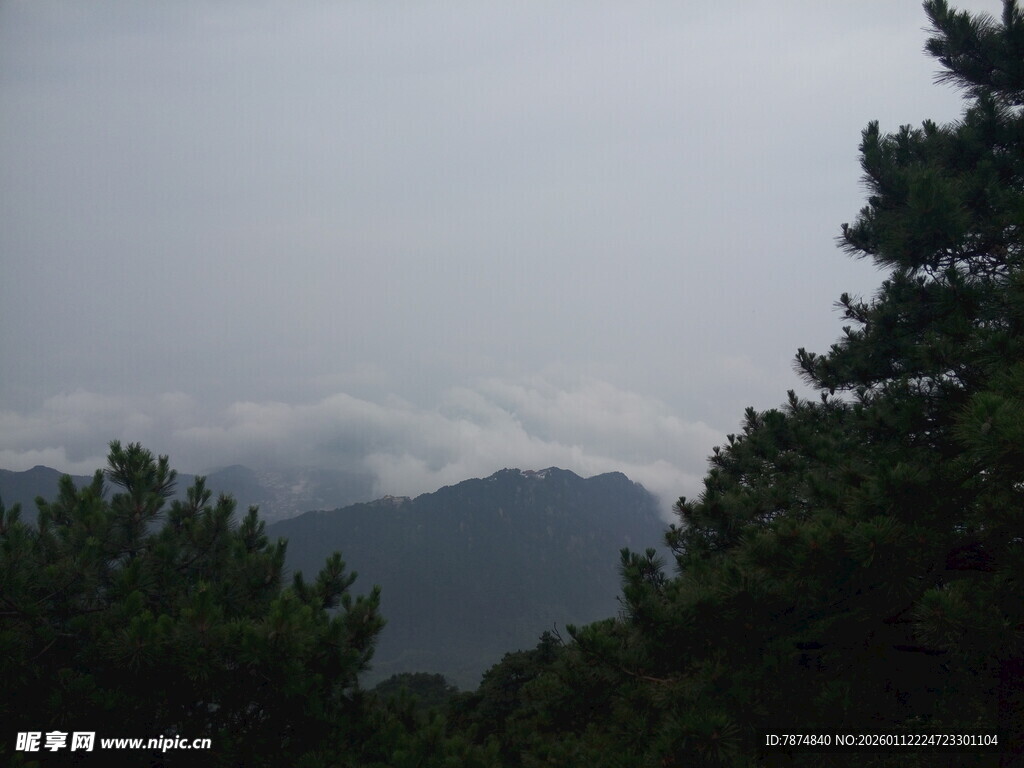 云雾缭绕的山林景色