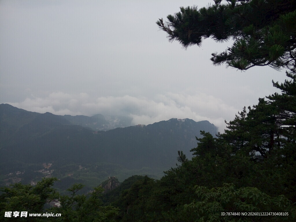 山间云雾中的葱郁树木