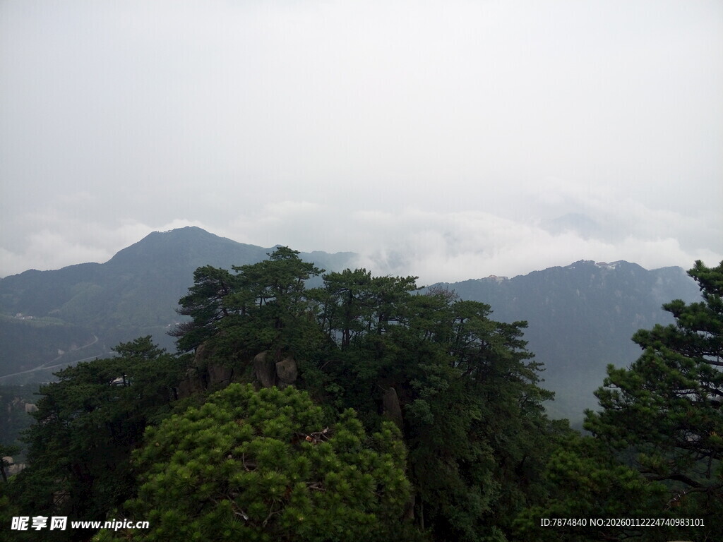 山间云雾缭绕的葱郁树林