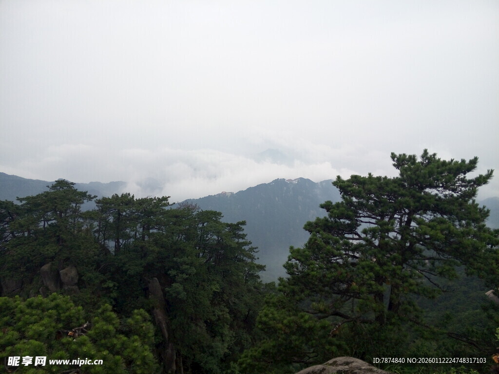 山林云雾间的静谧景致