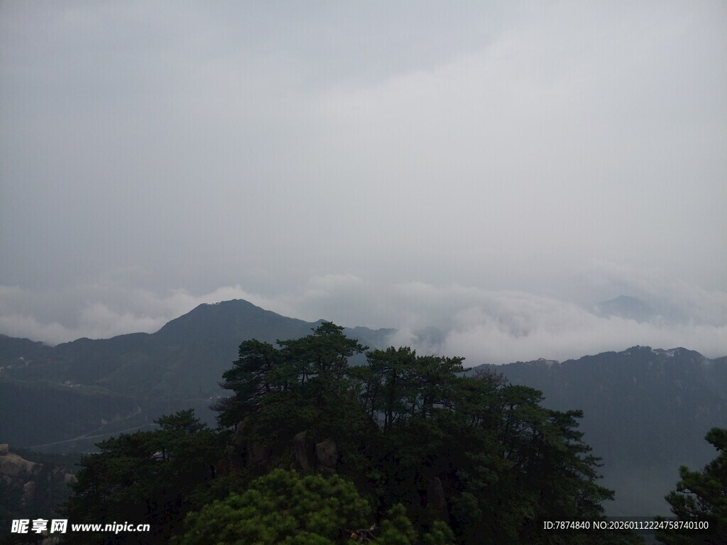 云雾缭绕的山峦与绿树