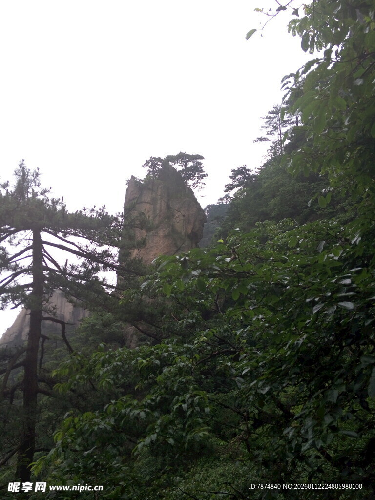 黄山奇峰绿树景观