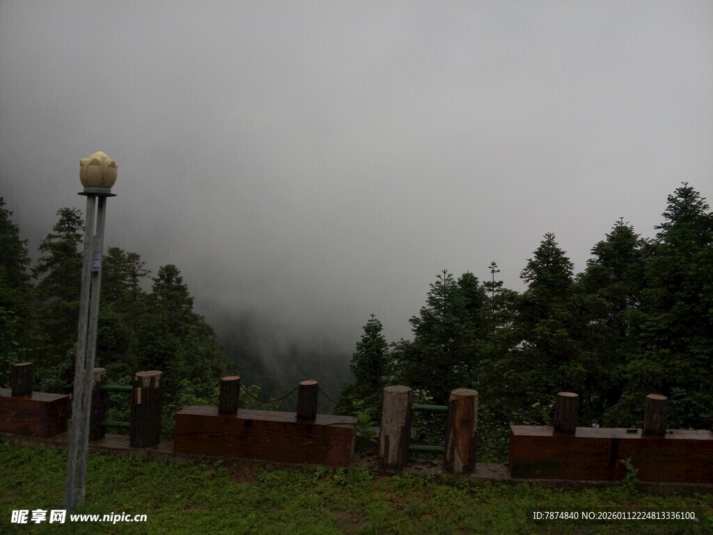 雾中墓地 静谧肃穆景象